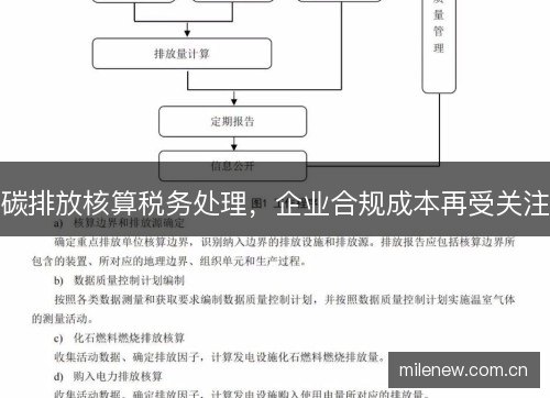 碳排放核算税务处理，企业合规成本再受关注