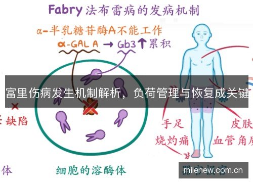 富里伤病发生机制解析，负荷管理与恢复成关键